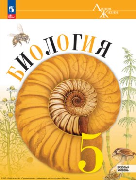 Базовый