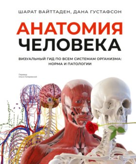 Обложка книги „Анатомия человека. Визуальный гид по всем системам организма: норма и патологии“