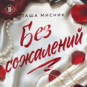 Под слезами Бостона. Бестселлеры Таши Мисник