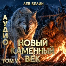 Обложка книги „Новый каменный век. Том V“