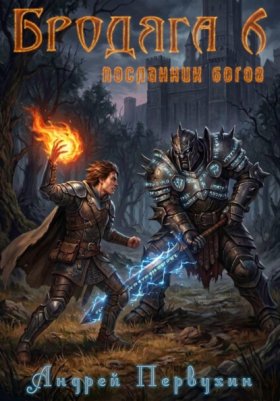 Обложка книги „Бродяга Посланник богов“