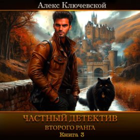 Частный детектив второго ранга. Книга 3