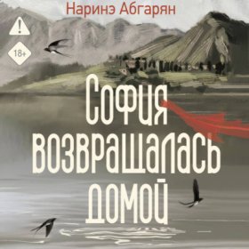Обложка книги „София возвращалась домой“