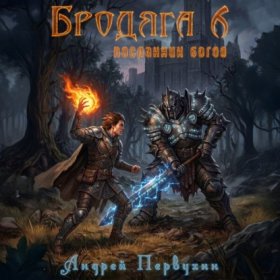 Обложка книги „Бродяга Посланник богов“