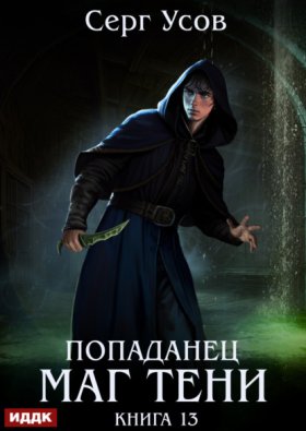 Обложка книги „Попаданец. Маг Тени. Книга 13“
