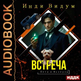 Обложка книги „Петя и Валерон. Книга 7. Встреча“